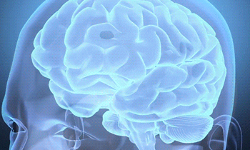 How to Boost Your Memory With These 8 Science Backed Nootropics