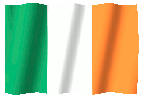 How Irish Sea Moss Blend Supplements Can Boost Your Health and Brain Power for St. Paddy’s Day and Any Other Day